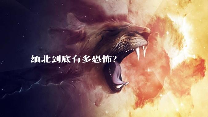 缅北到底有多恐怖？
