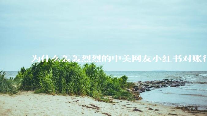 为什么轰轰烈烈的中美网友小红书对账行动戛然而止了？