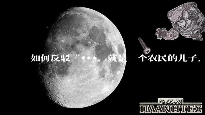 如何反驳“***，就是一个农民的儿子，不远万里去杀掉素不相识的另一个农民儿子。”这句话？