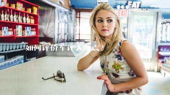 如何评价车评人陈震？